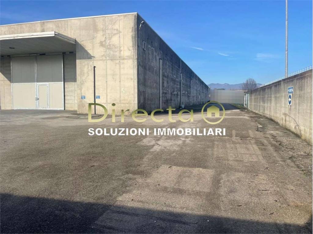 immagine annuncio 7 di 12