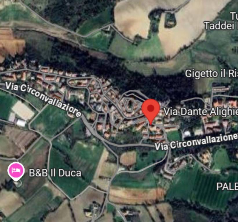 immagine annuncio 5 di 14