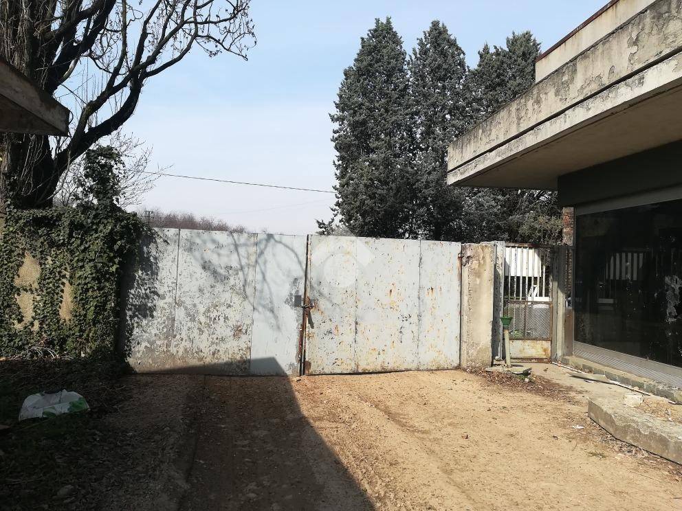 immagine annuncio 6 di 15