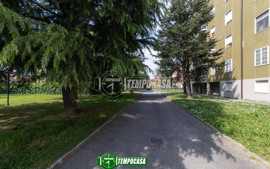 immagine annuncio 11 di 14