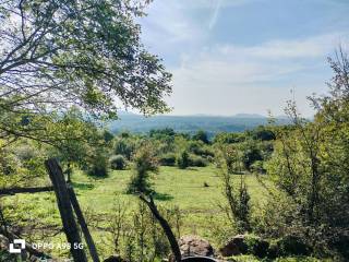Terreno residenziale in vendita a manziana 