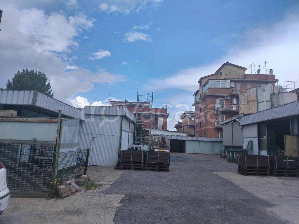 immagine annuncio 1 di 7