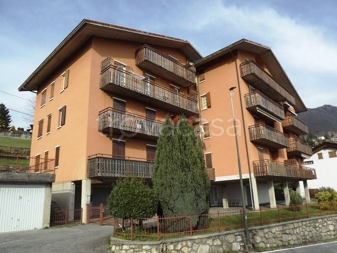 immagine annuncio 13 di 14