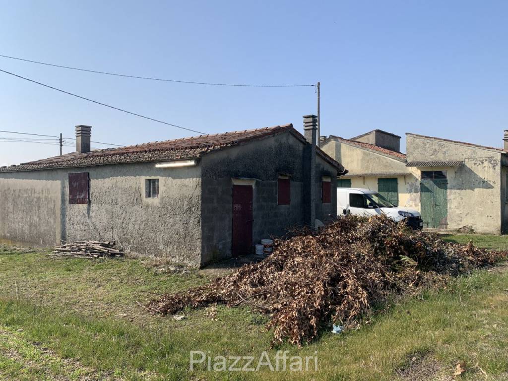 immagine annuncio 3 di 6