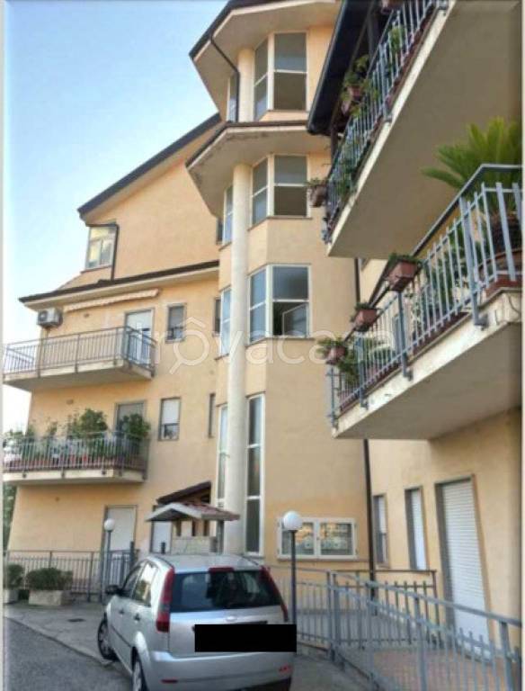 immagine annuncio 11 di 12