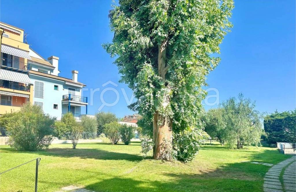 immagine annuncio 12 di 14