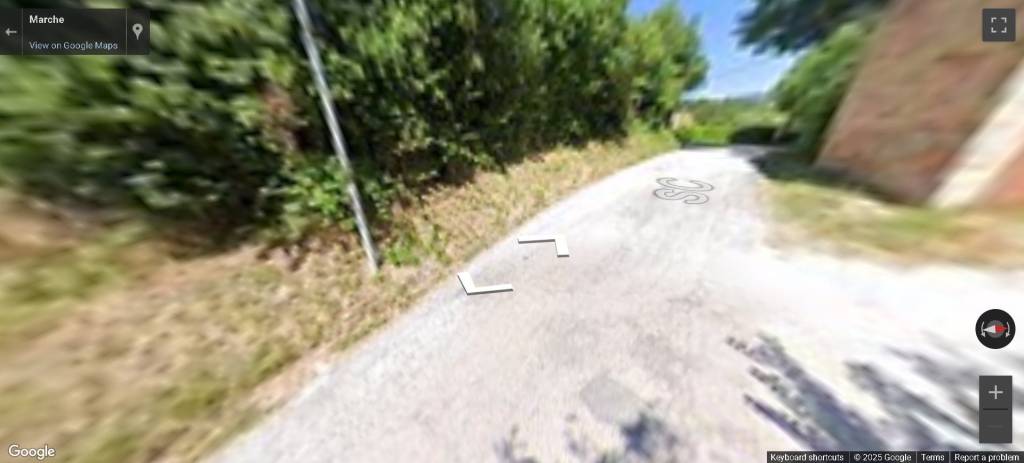 immagine annuncio 11 di 14