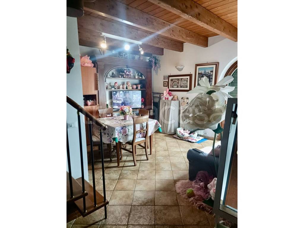 immagine annuncio 3 di 11
