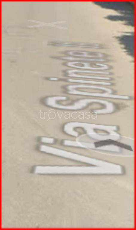 immagine annuncio 3 di 11