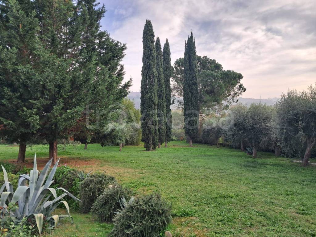 immagine annuncio 6 di 8