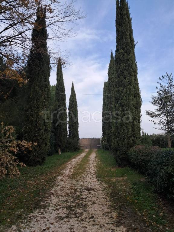 immagine annuncio 7 di 8