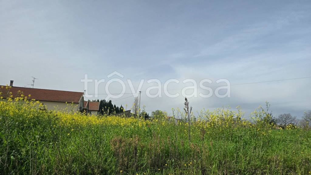 immagine annuncio 3 di 11