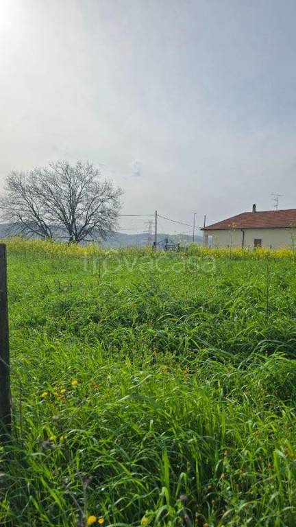 immagine annuncio 9 di 11