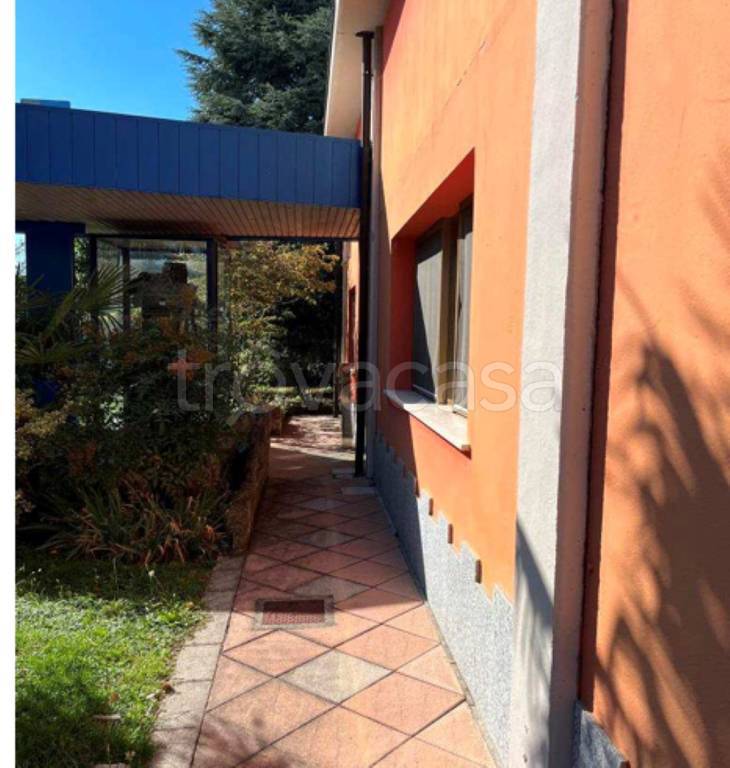 immagine annuncio 3 di 12