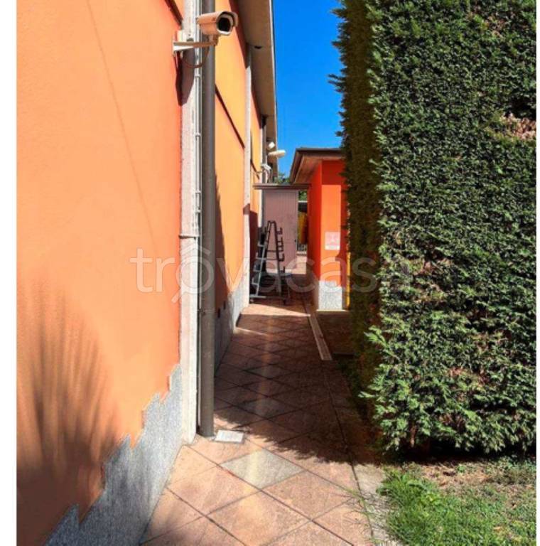 immagine annuncio 5 di 12