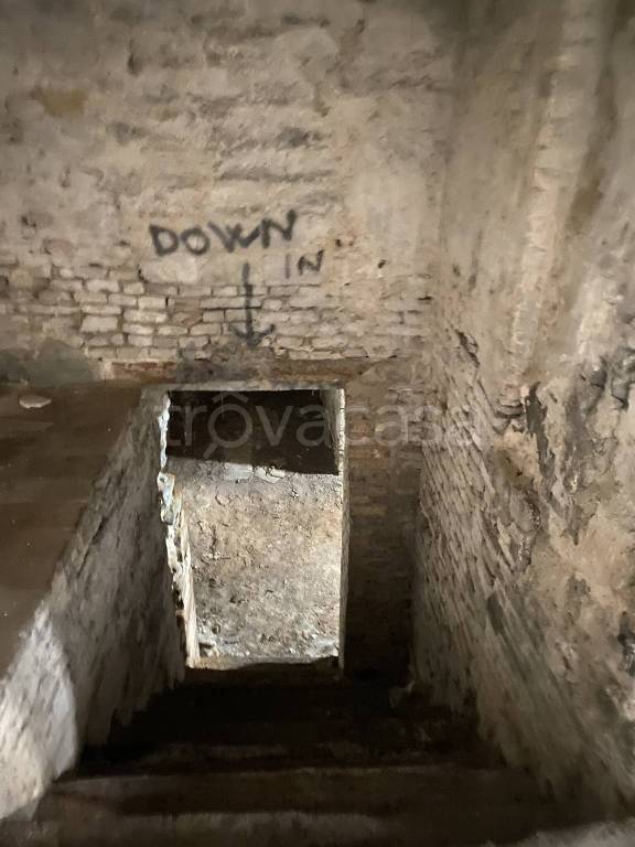 immagine annuncio 6 di 14