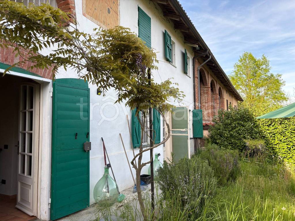 immagine annuncio 7 di 15