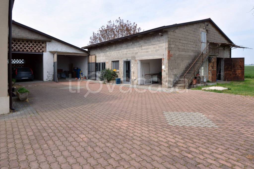 immagine annuncio 9 di 15