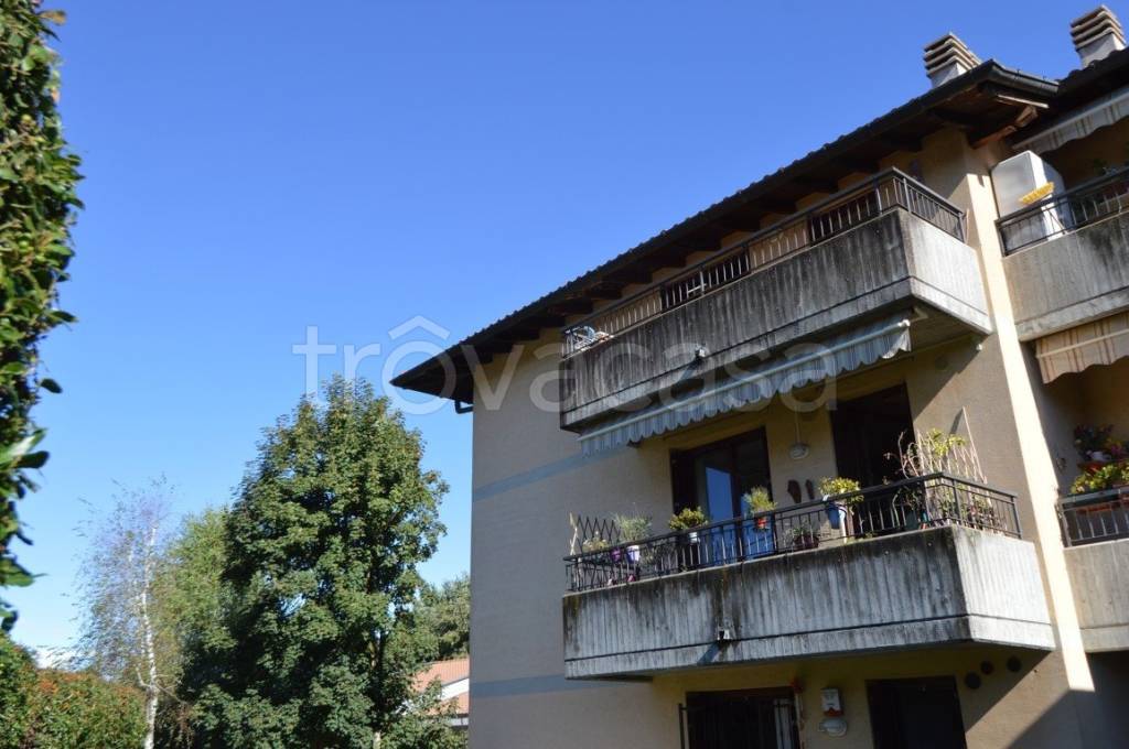 immagine annuncio 12 di 15