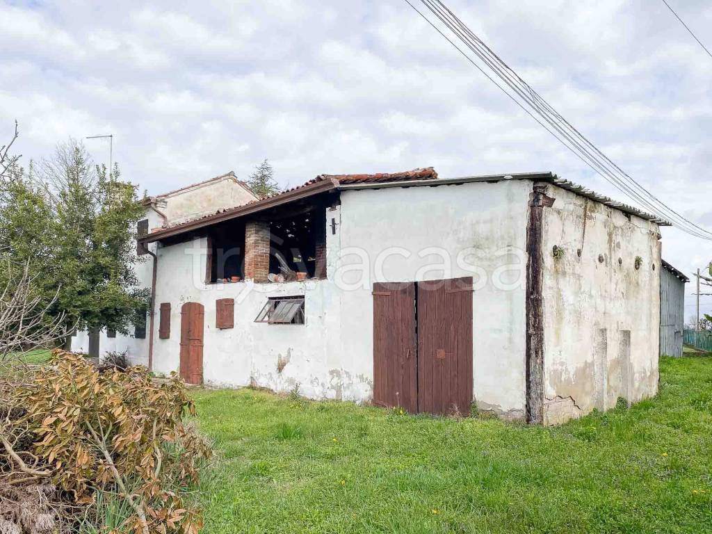 immagine annuncio 4 di 13