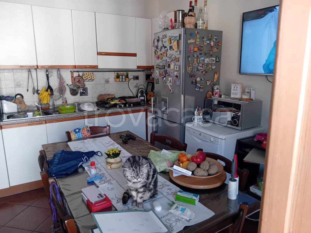 immagine annuncio 5 di 13