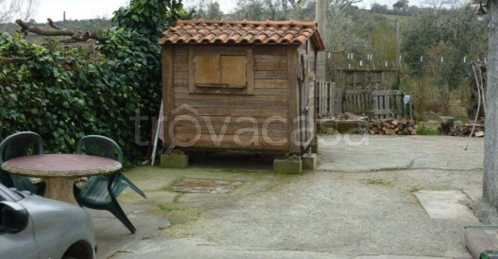 immagine annuncio 10 di 12