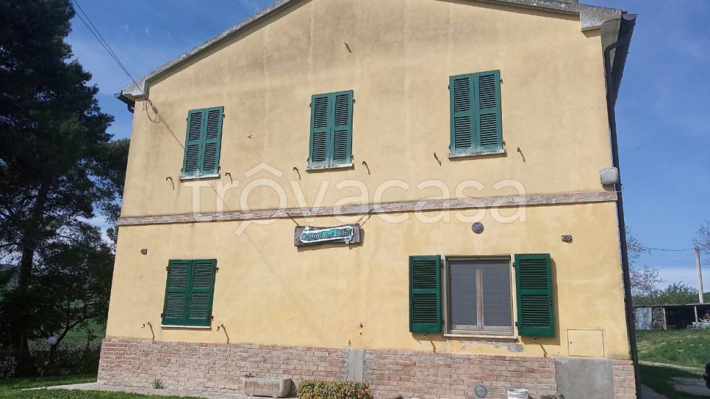 immagine annuncio 9 di 13