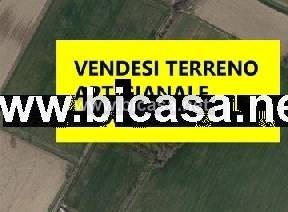 immagine annuncio 5 di 13