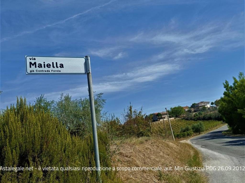 immagine annuncio 14 di 15