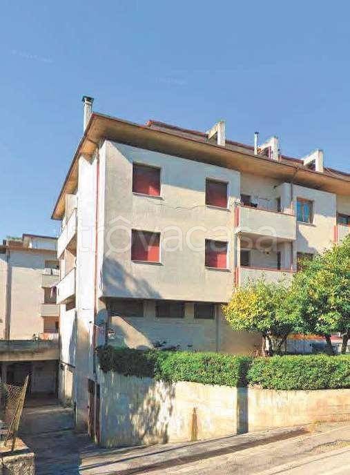 immagine annuncio 4 di 8