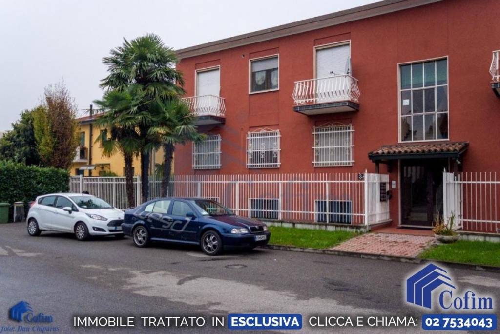 immagine annuncio 12 di 13