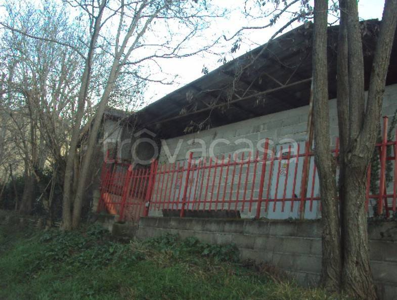 immagine annuncio 8 di 13
