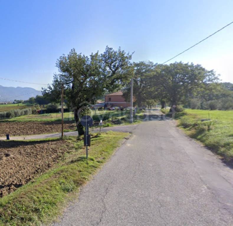 immagine annuncio 6 di 11