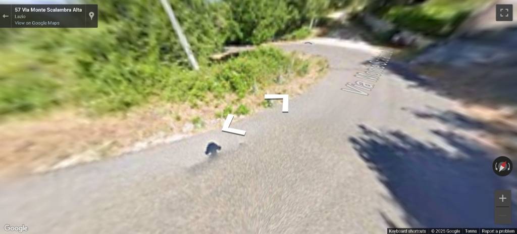 immagine annuncio 10 di 13