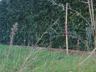 Terreno residenziale in vendita a poggio nativo via fontanelle