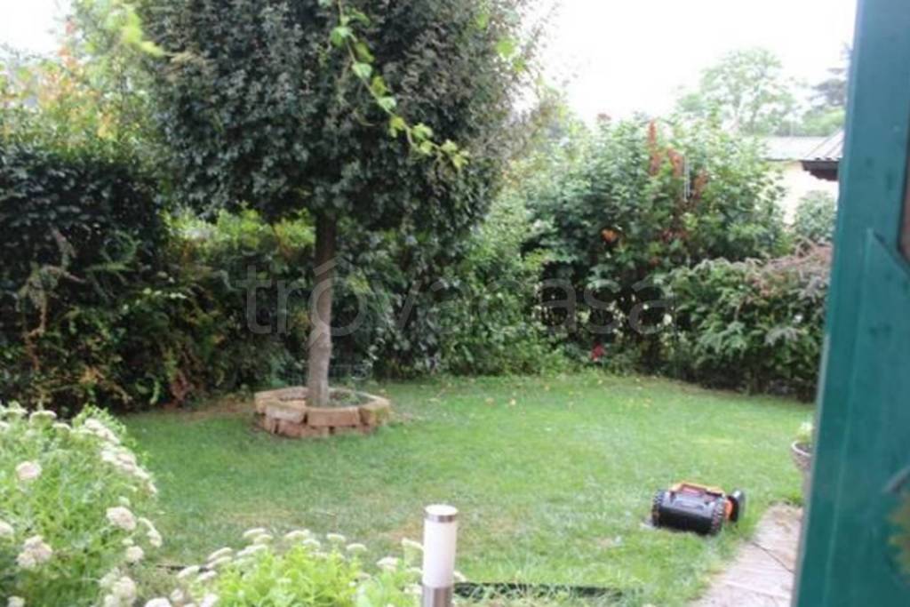 immagine annuncio 9 di 11