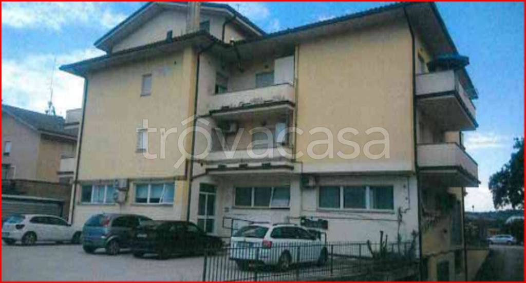 immagine annuncio 2 di 12