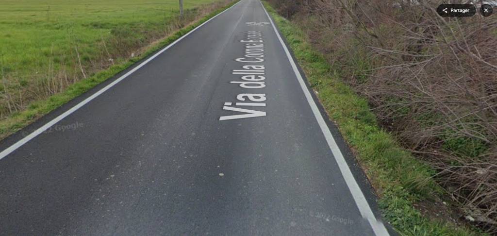 immagine annuncio 3 di 14