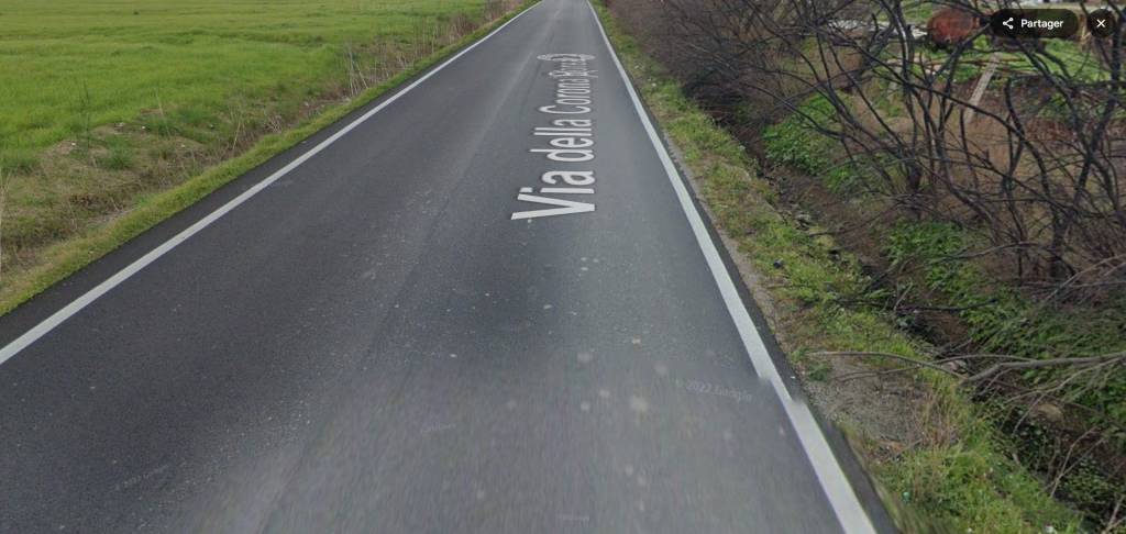 immagine annuncio 4 di 14
