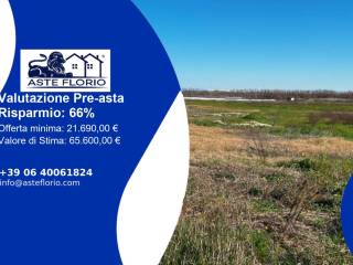 Terreno agricolo all'asta a fiumicino via della corona boreale
