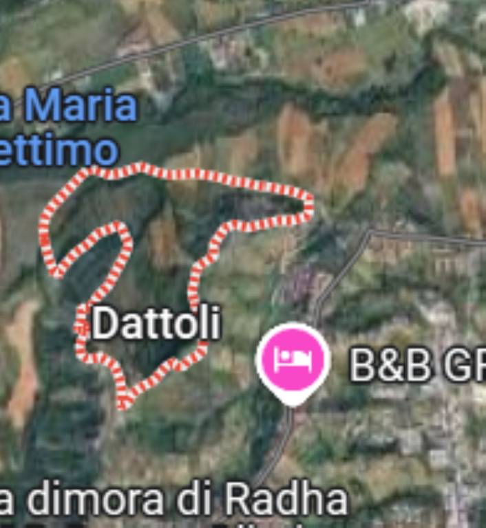 immagine annuncio 8 di 12