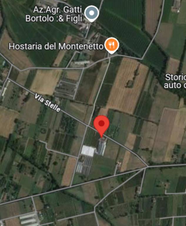 immagine annuncio 4 di 11