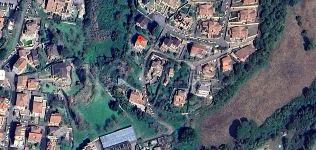 immagine annuncio 11 di 13