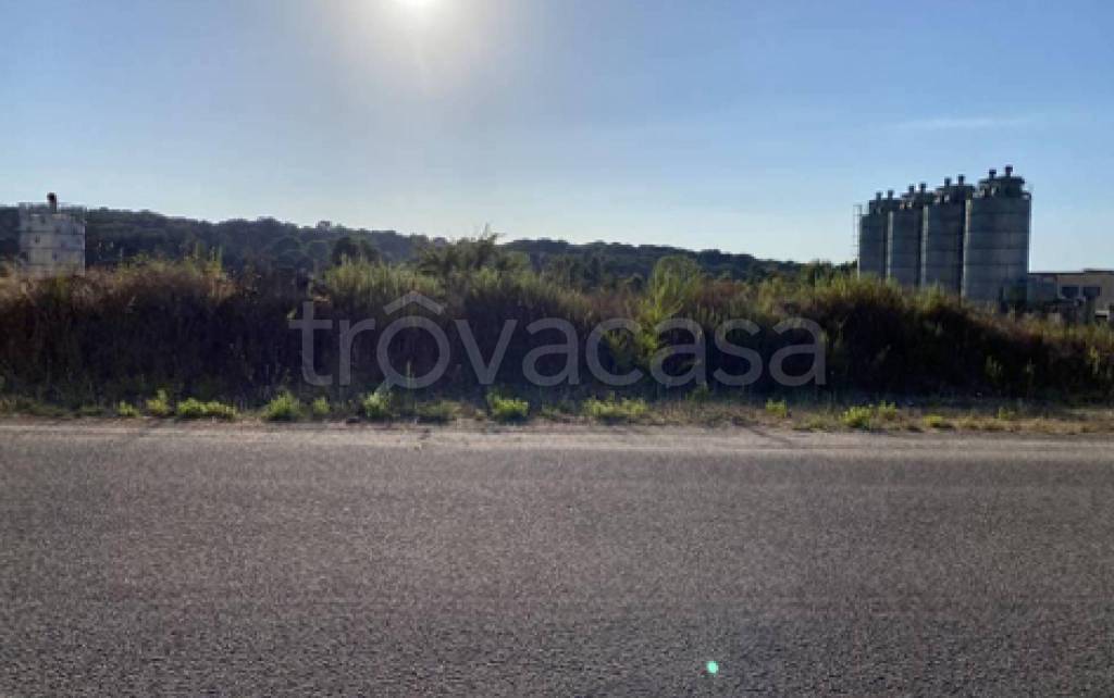 immagine annuncio 8 di 12