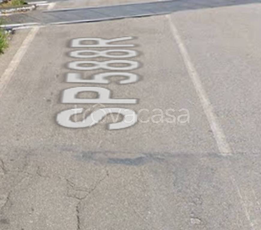 immagine annuncio 10 di 14