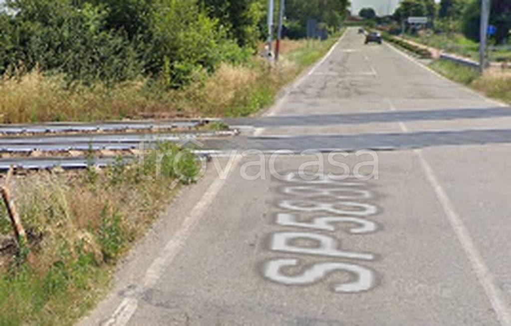 immagine annuncio 11 di 14