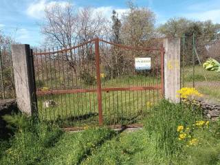 Terreno agricolo in vendita a belpasso 