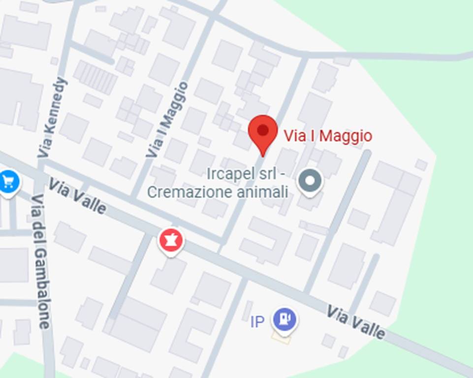 immagine annuncio 1 di 11