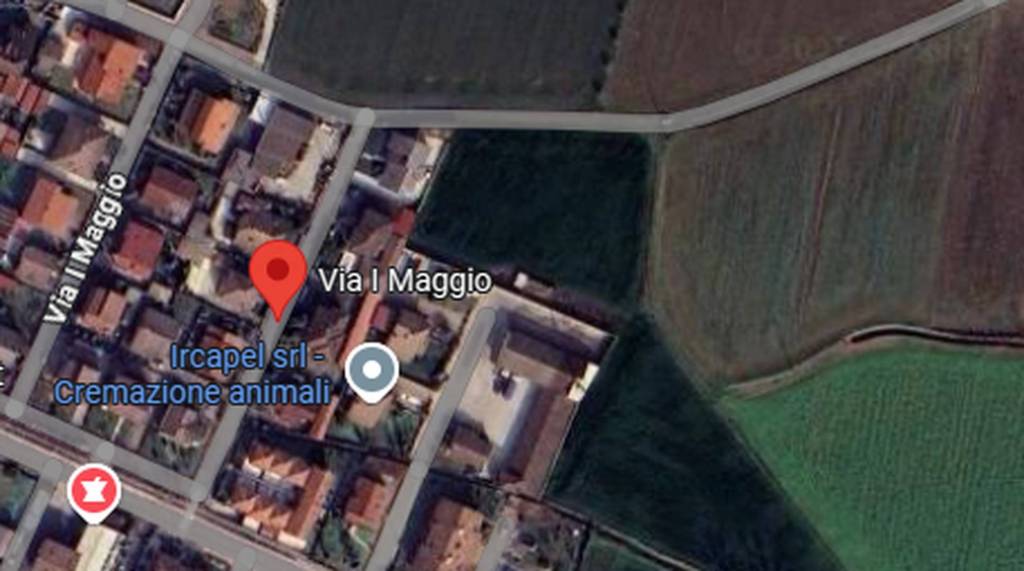 immagine annuncio 7 di 11