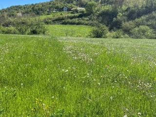 Terreno agricolo in vendita a paroldo località bovina